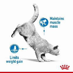 Royal Canin Dry Cat Food Light Weight Care / 400g