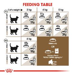 Royal Canin Dry Cat Food Ageing 12+ / 400g