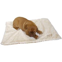 Rosewood Luxury Puppy Blanket - 70x50cm