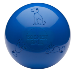 Boomer Ball Pursuit Toy 4