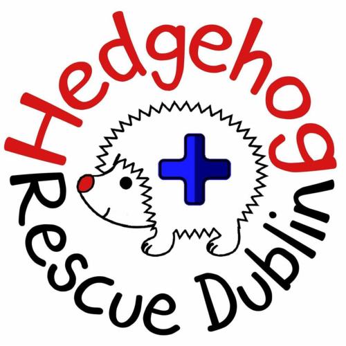 Hedgehog Rescue Dublin