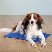 Trixie Dog Cooling Mat - Extra Large (90 � 50cm)