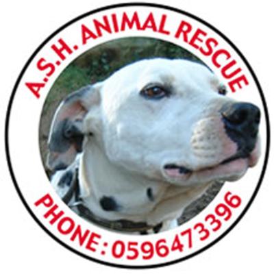 ASH Animal Rescue