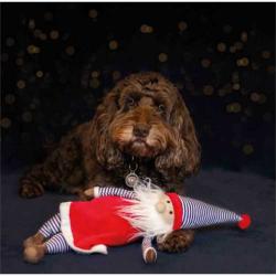 Cupid & Comet Jolly Santa Dog Toy