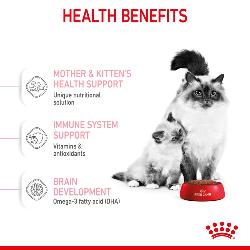 Royal Canin Dry Cat Food Mother & Babycat / 400g
