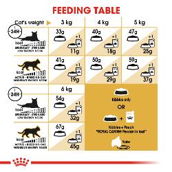 Royal Canin Dry Cat Food Persian / 400g