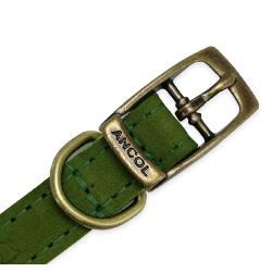 Ancol Timberwolf Leather Collar - Green - Size 3 - 28-36cm
