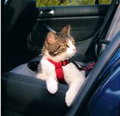 Trixie Cat Safety Belt Harness
