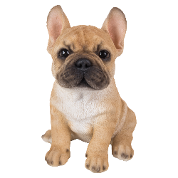 Vivid Arts Pet Pals - French Bulldog - Golden