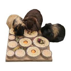 Rosewood Maze-A-Log Treat Challenge For Small Animals