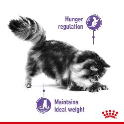 Royal Canin Dry Cat Food Appetite Control 400g