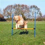 Trixie Dog Activity Agility Hurdle Blue/Orange 123x115x3cm Plastic