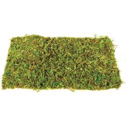 Natural Moss Mat