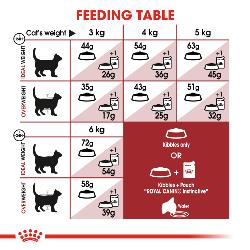 Royal Canin Dry Cat Food Fit 32 / 400g