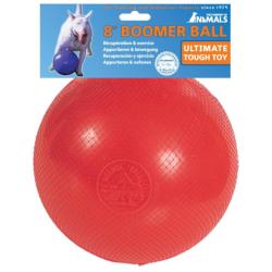 Boomer Ball Pursuit Toy 4