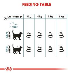 Royal Canin Dry Cat Food Hairball Care / 400g