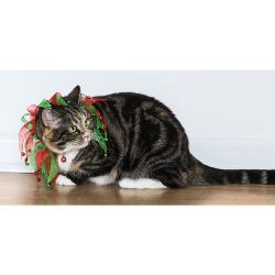 Rosewood Scrunchy Christmas Cat Collar