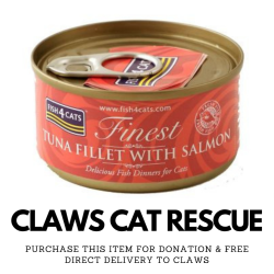 CLAWS DONATION - Fish4Cats | Tuna Fillet with Salmon - 70g