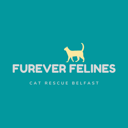Furever Felines Cat Rescue