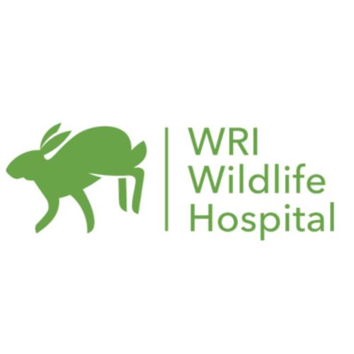 Wildlife Rehabilitation Ireland