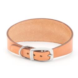 GREAT HOUNDS IN NEED DONATION - Ancol Greyhound Leather Collar