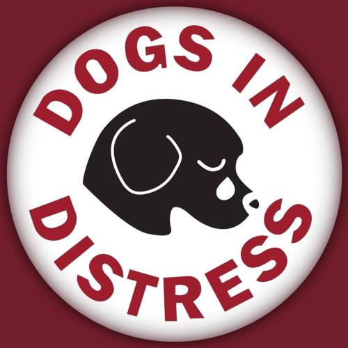 Dogs in Distress