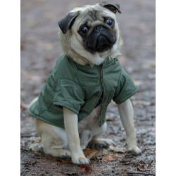 Fur Trim Parka Dog Coat Extra Large