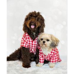Rosewood Gingham Dog Pyjamas Small