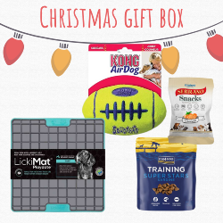 MADRA Donation - 2023 Christmas Gift Box