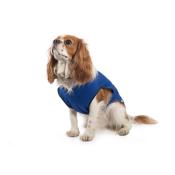 Ancol Dog Cooling Coat - Extra Small - 25cm