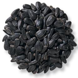 J&J | Wild Bird Food | Black Oil Sunflower Seeds