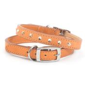 Ancol Leather Sewn/studded Collar Tan 60cm/24" Size 7