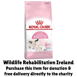 WILDLIFE REHABILITATION IRELAND - Royal Canin First Age Mother & Babycat