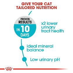 Royal Canin Dry Cat Food Adult Urinary Care 2kg