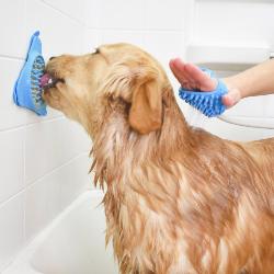 Aquapaw Slow Treater Bathtime & Grooming Treat Mat